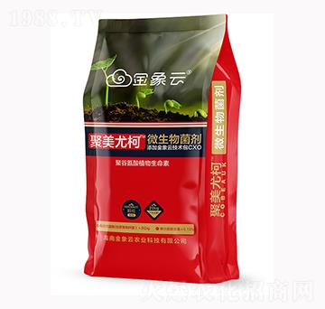 �����ȿ�΢�������-�������r(n��ng)�I(y��)