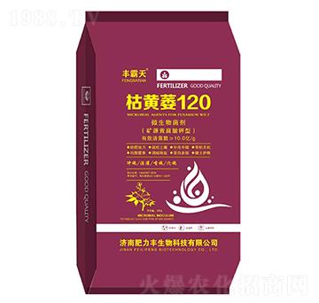 ���Sή120-�S����-�����S