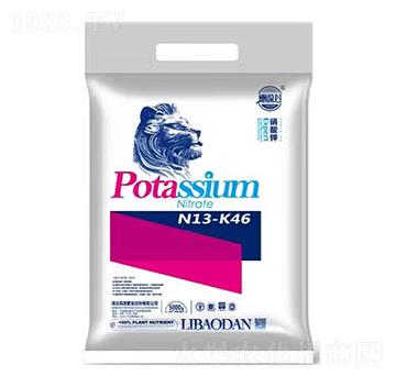 �����-����ʘI(y��)