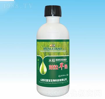 水稻鼓粒早熟-花蕾寶生物