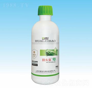 500g中量元素水溶肥料-回頭見綠-花蕾寶生物
