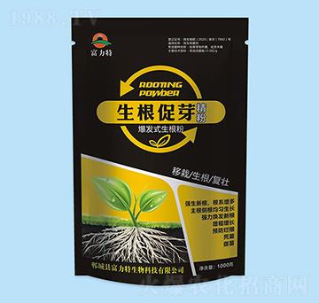 ������ѿ����-������