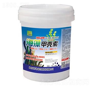 ����ך���-�f�ﴺ