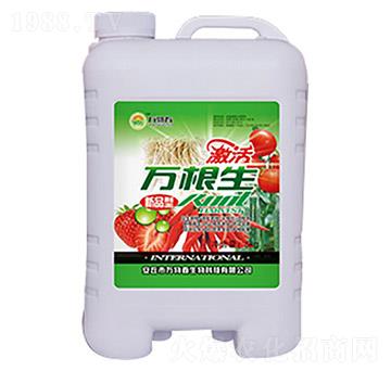 ��ݮ�����f(w��n)����-�f(w��n)�ﴺ