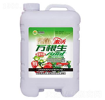 �߲����f(w��n)����-�f(w��n)�ﴺ