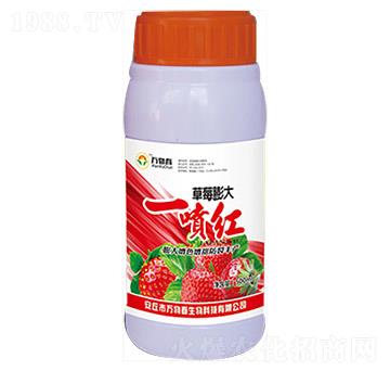 500ml��ݮ���һ���t-�f(w��n)�ﴺ