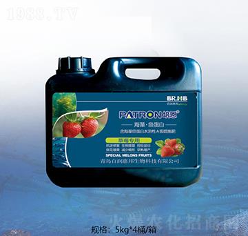 ��ݮ��(zhu��n)�ú����~(y��)����-�ٝ�(r��n)�ݰ�