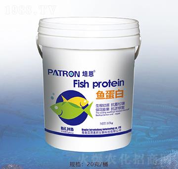 �~����-�ٝ��ݰ�