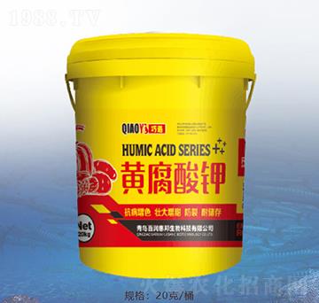 �S�����-�ٝ��ݰ�