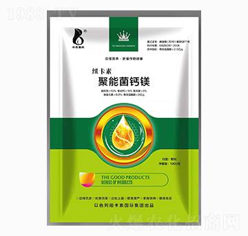 ���ܾ��}�V-�~����-��