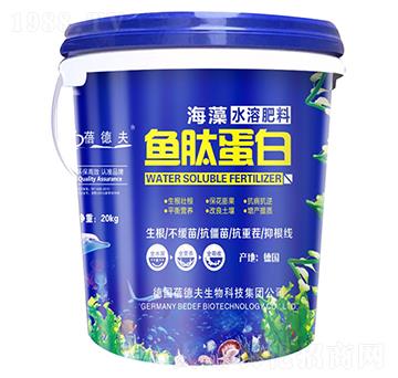 �~�ĵ���-�����S