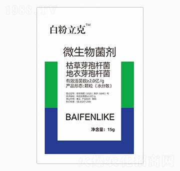 ΢�������-�׷�����-ϲ��Դ