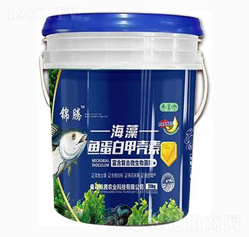 �����~(y��)���׼ך���-�\�v�r(n��ng)�I(y��)