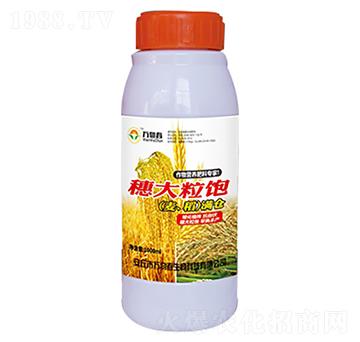 1000ml������С��ˮ���M(m��n)�}(c��ng)-�f(w��n)�ﴺ