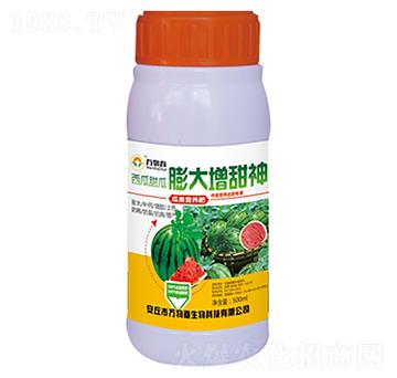 500ml����������������-�f(w��n)�ﴺ