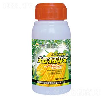 100ml���״ֿs������-�f(w��n)�ﴺ