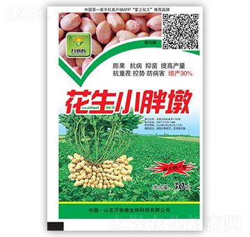 ����С�ֶ�-�f�ﴺ