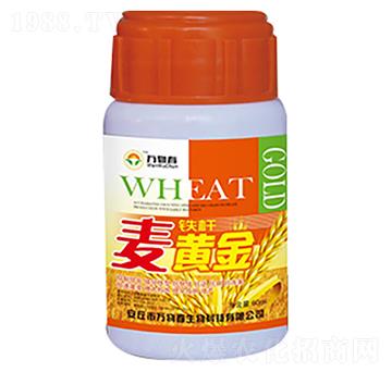 60ml�F�U���S��-�f(w��n)�ﴺ