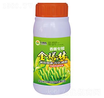 �㽶���ý�����-�f�ﴺ