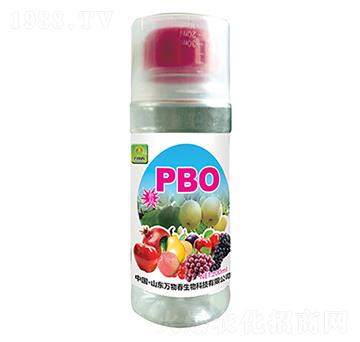 PBO-�f(w��n)�ﴺ