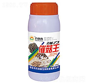 ��(qi��ng)���߹���-�f�ﴺ