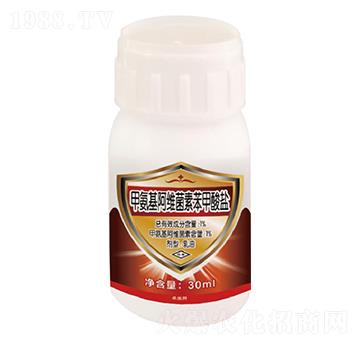 1%�װ������S���ر������}-�̎��r(n��ng)�I(y��)