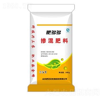 �������-�ʶ��