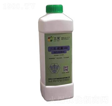 ��ؐ����(y��u)��100-��ؐ���S