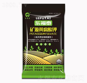 �VԴ�S�����-����