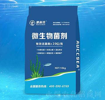 ΢�������-�Ŀ���