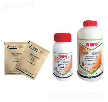 ��߻����ɭ�~-�漚�D-�|�L����