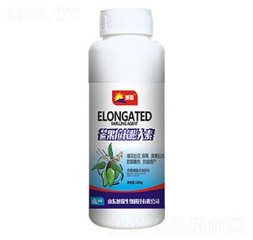 â�����L(zh��ng)�����-�������