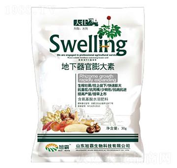 �������������-�������