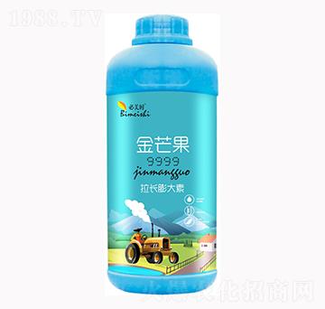 ��â�����L�����-�����r-�f���r(n��ng)��