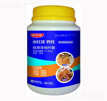 С�t���ݲ�ѿ�ߗU��-�f���r(n��ng)��