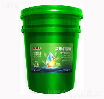 ̼ø���徫΢�������-С�t��-�f���r(n��ng)��