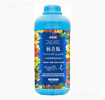 �����-С�t��-�f���r(n��ng)��