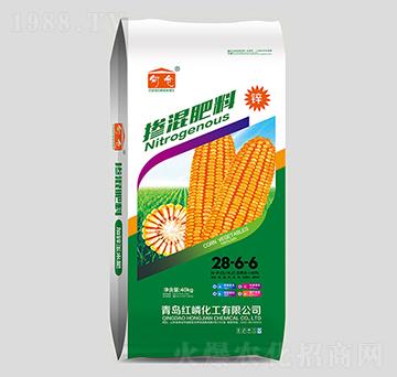 �������28-6-6-�t�׻���