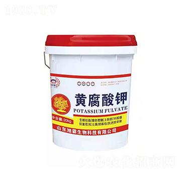 �S�����-�������