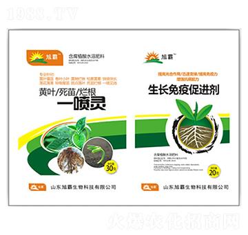 �S�~���砀��һ���`-�������