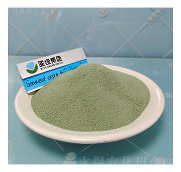 40%�Gɫ���徫-����˹����