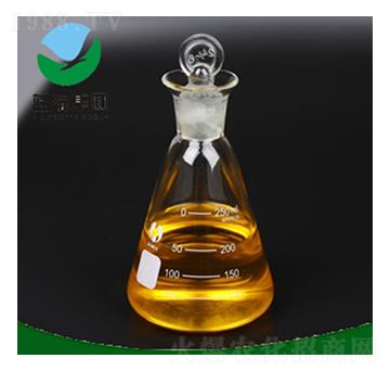 �������}-����˹����