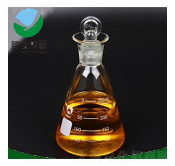 �Ǵ������}-����˹����