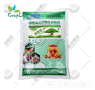 �S���-����˹����