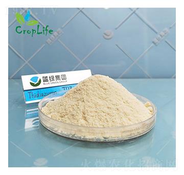 �籽¡-����˹����