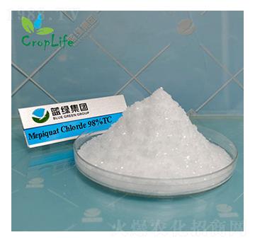 �s��(ji��)���������ˣ�-����˹����