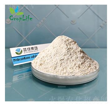 �{(di��o)�h(hu��n)���}-����˹����