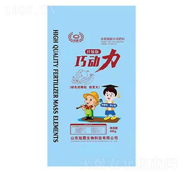 �Ʉ���-�������