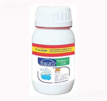 �����w-¡��?du��)? />
                                </div>
                            </div>
                            
                            <style type=