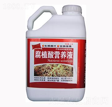 ��ֲ��I�B(y��ng)Һ-��������